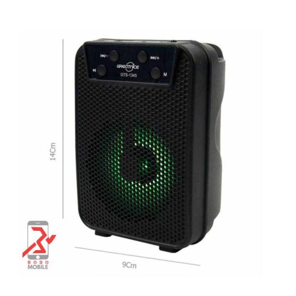 اسپیکر قابل حمل گریت نایس مدل GTS-1345